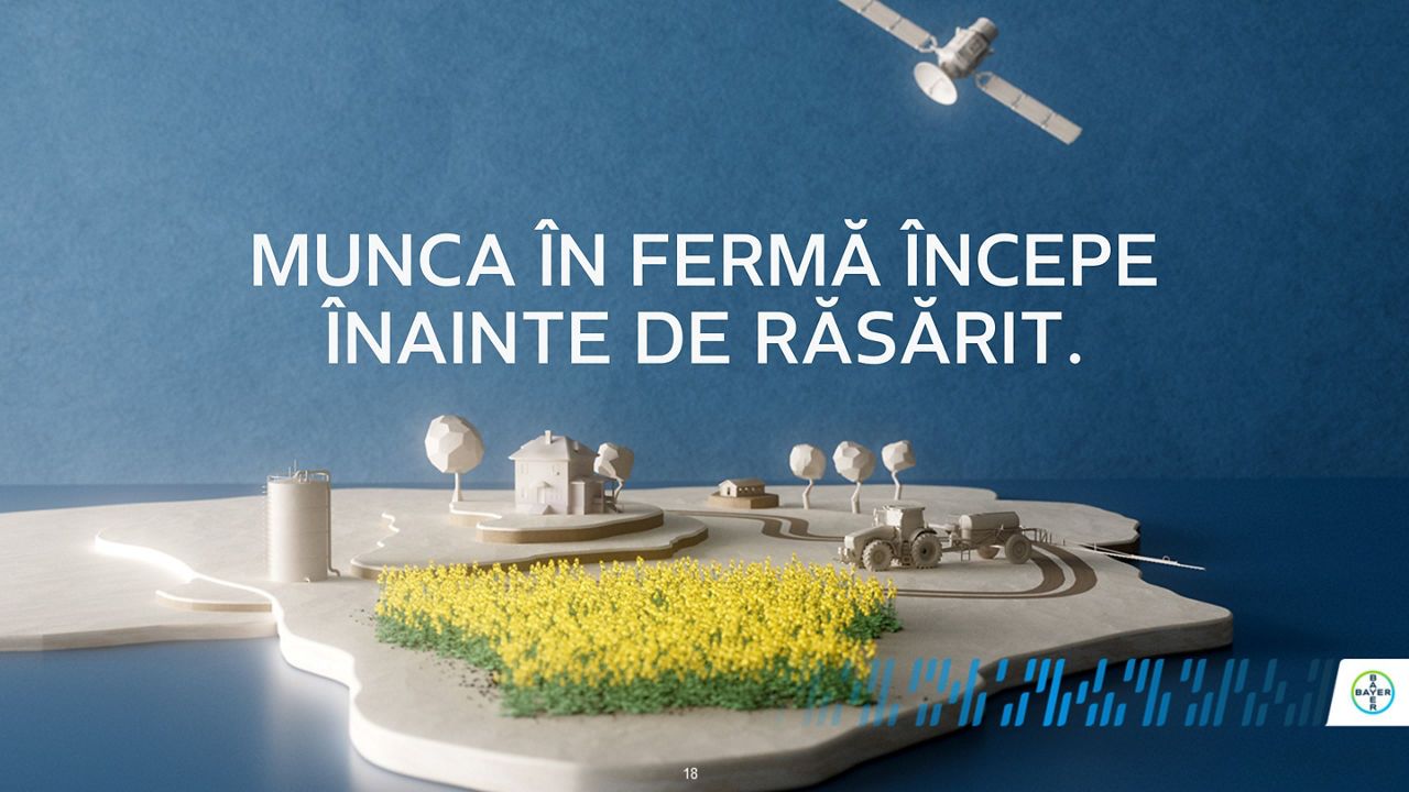 Asigurare Rapiță Dekalb 2025