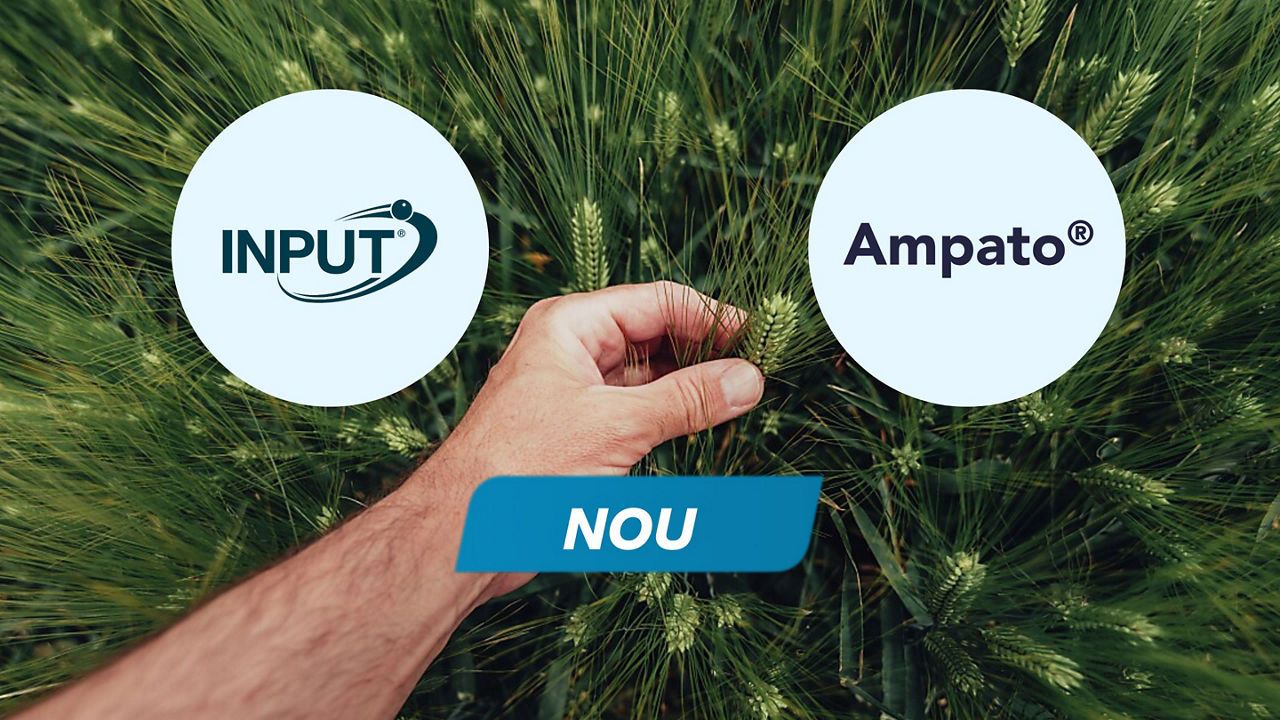 Pachet cereale INPUT A