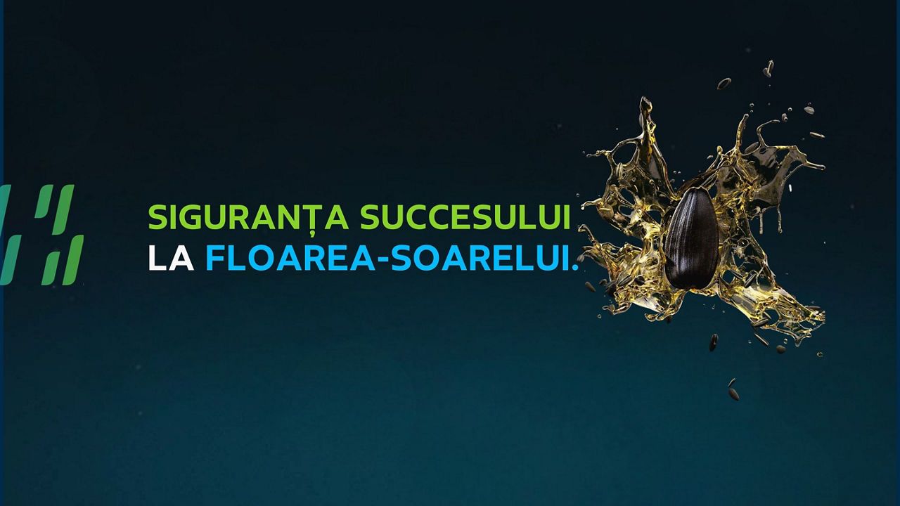 Siguranța succesului la floarea-soarelui