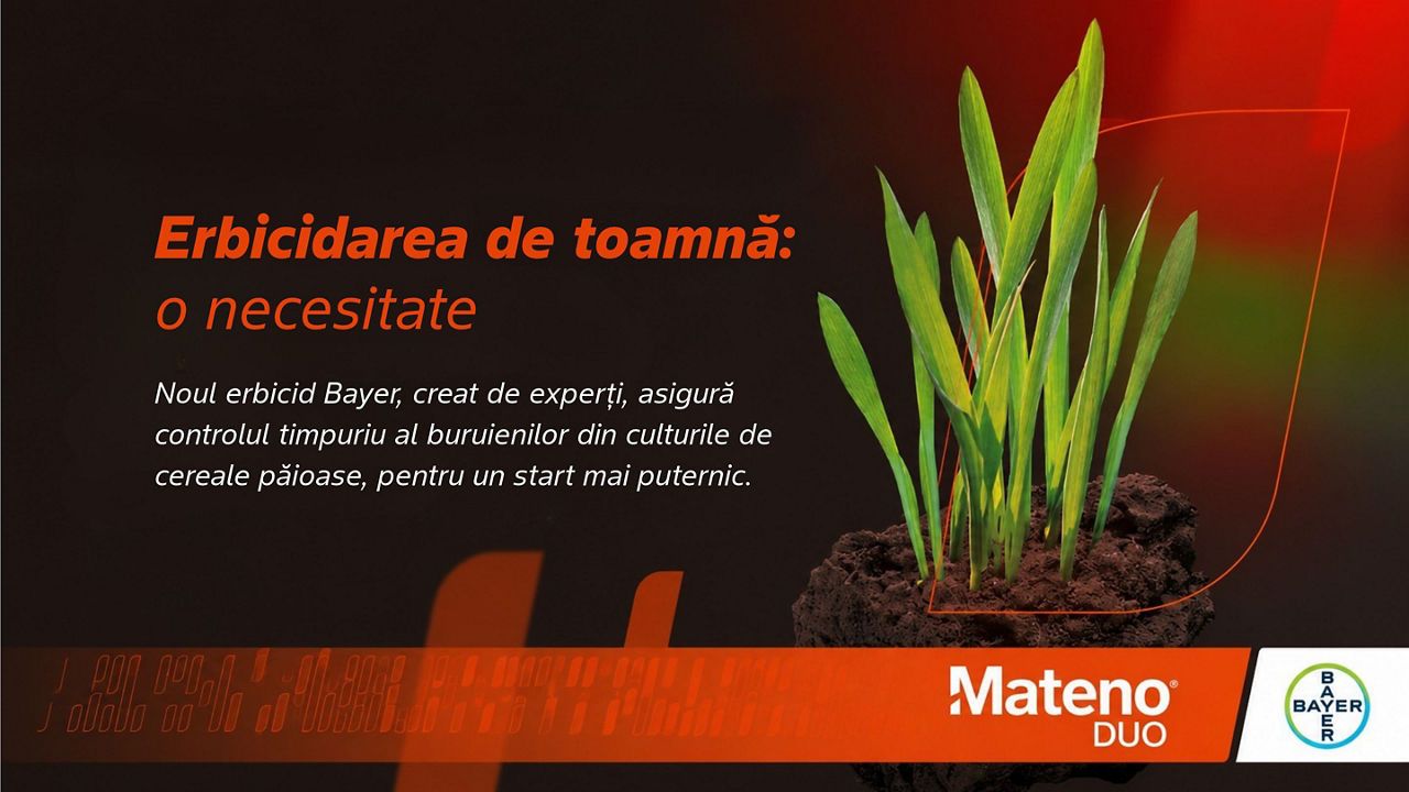 Mateno Duo 600 SC: erbicidarea de toamnă care dă cerealelor un start curat