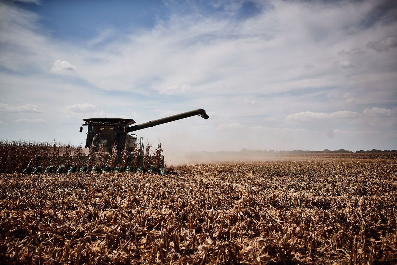 DKC6897 a câștigat Trofeul „Porumbul de Aur” in anul 2024